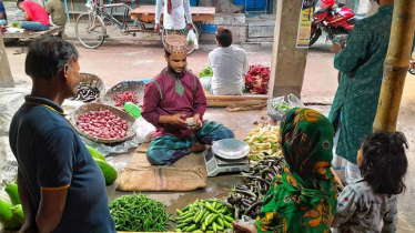 লালমনিরহাটে শীতের শাকসবজি বাজারে আসছে, কমছে দামও