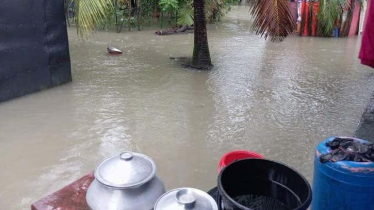 দেশবাসীকে বন্যার্তদের পাশে দাঁড়ানোর আহ্বান ক্রিকেটারদের