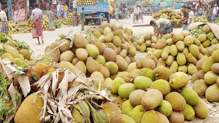 কুমিল্লায় জমে উঠেছে কাঁঠালের হাট