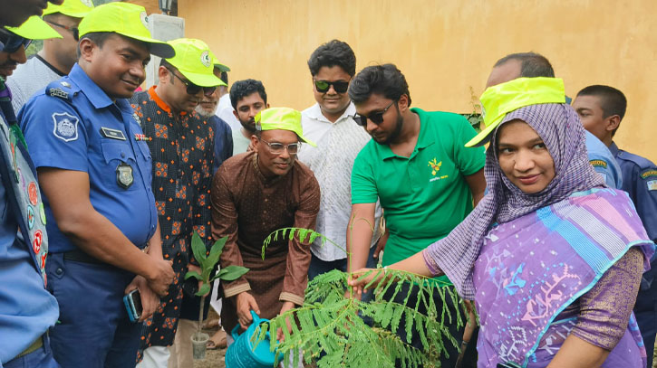 পরিবেশের ভারসাম্য রক্ষায় বৃক্ষ রোপণের বিকল্প নাই